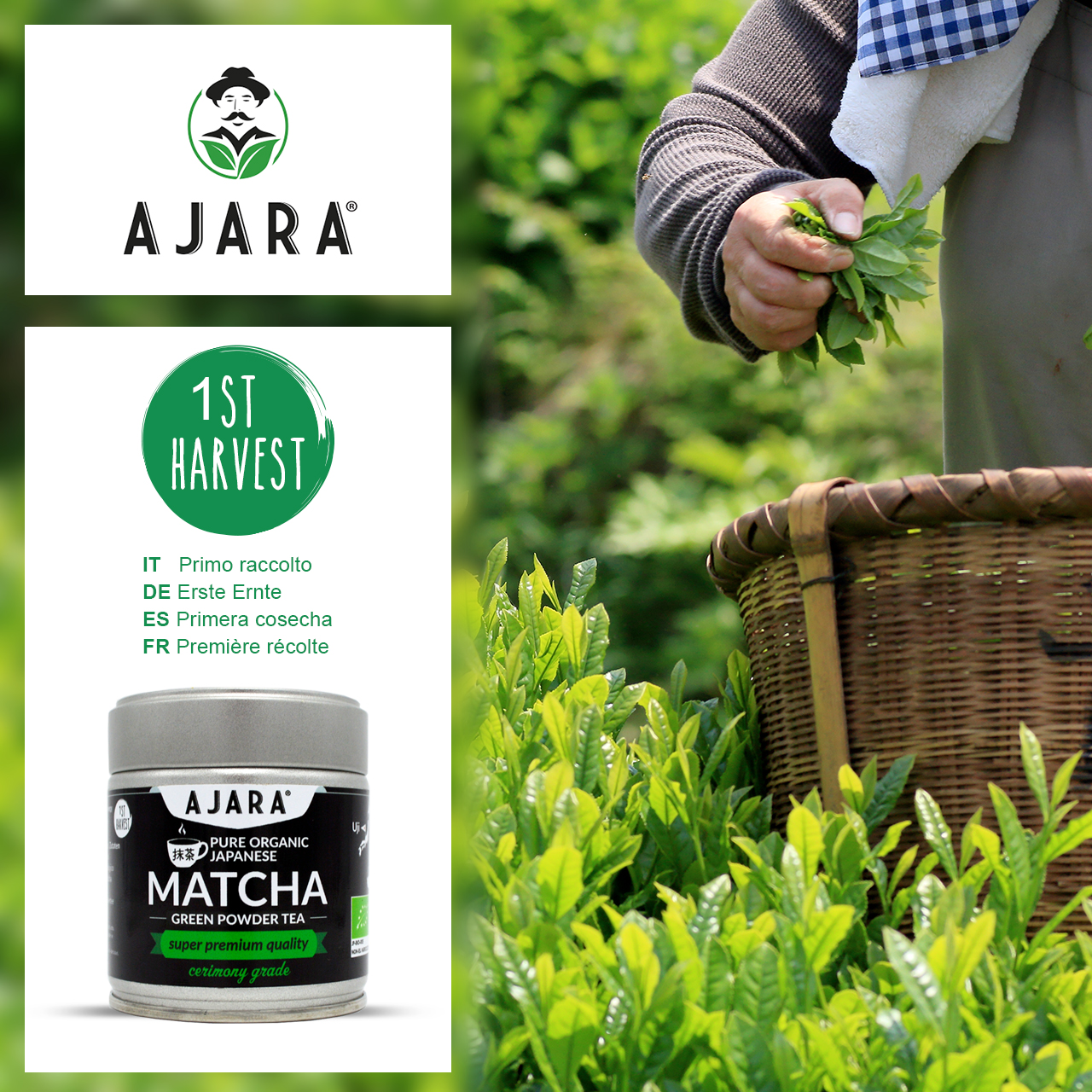 Matcha Green Tea First Harvest Ground Stone